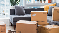 Move In / Out